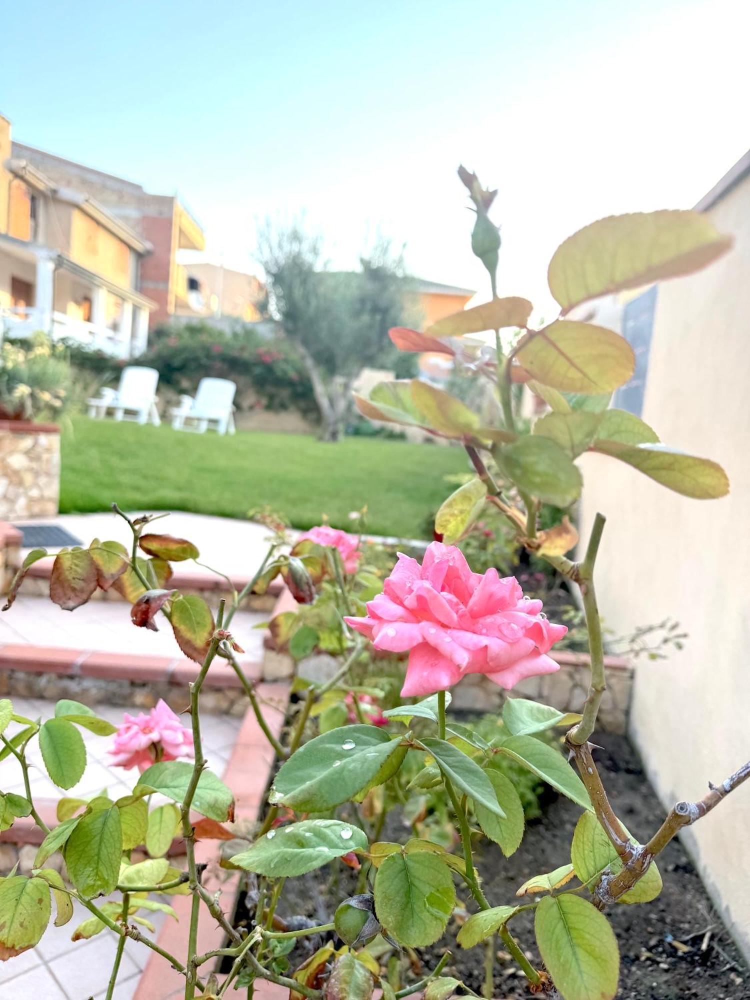 卡利亚里Rosa'S House - Zona Ospedaliera公寓 外观 照片